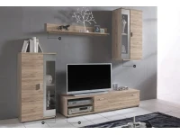 Sektsioon FOX pilt 2