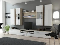 Sektsioon DREAM II valge kõrgläige/tamm sonoma pilt 2