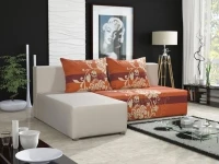 Nurgadiivanvoodi RIWIA 1 pilt 11