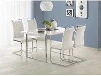 Söögilaud LION pilt 2