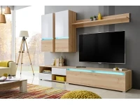 Секция BOLD pilt 2