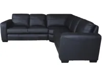 Угловой диван DAVOS NAR.2BF/H/2BF.ZZ pilt 4