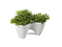 Цветочный вазон IVY PLANTER pilt 4