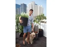 Lillepotiümbris CYLINDER PLANTER LARGE, pruun pilt 3