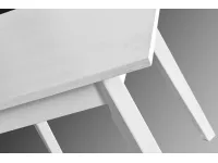 Söögilaud OSLO I pilt 3