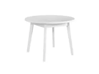 Söögilaud OSLO III pilt 2