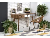 Kirjutuslaud B-38 pilt 2