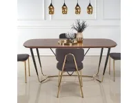 Laud MANCHESTER pilt 3