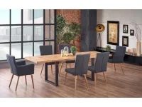 Pikendatav laud HORUS pilt 2