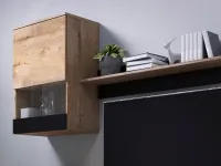 Sektsioon SNAP tamm lefkas - must pilt 4