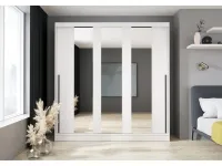 Шкаф-купе ARIS 3D III pilt 2