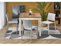 Стол раздвижной TIAGO KW дуб крафт / белый pilt 2