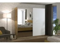 Шкаф-купе MONDEGO 220 белый / дуб артисан pilt 2