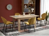 Pikendatav laud BAGIO tamm artisan pilt 2