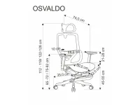 Кресло руководителя OSVALDO pilt 9