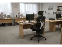 Рабочее кресло Ergonomic ASTRAL pilt 5
