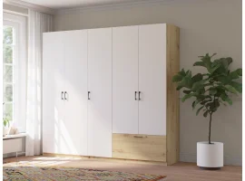 Шкаф для одежды ALTA 5D1S