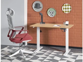 Kirjutuslaud B53 pilt