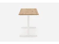 Kirjutuslaud B53 pilt 5
