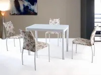 Söögilaud ARGUS valge pilt 2