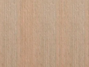 дуб грандсон